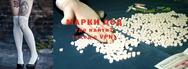гашик Алексин