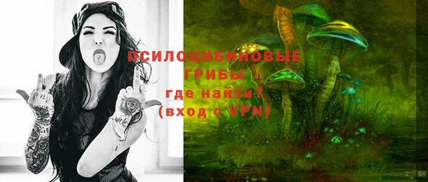 ПСИЛОЦИБИНОВЫЕ ГРИБЫ Алзамай