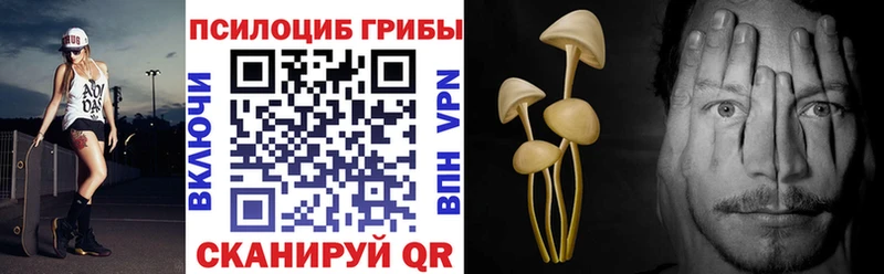 Псилоцибиновые грибы Psilocybine cubensis  Тюмень 