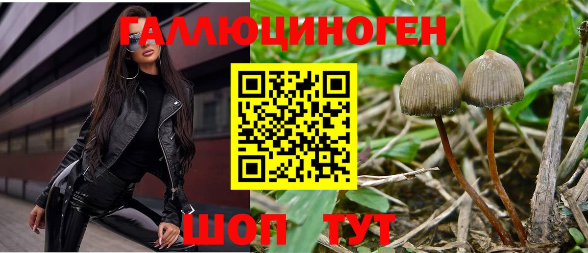 Псилоцибиновые грибы мухоморы  Вход с VPN  где купить   Тюмень 